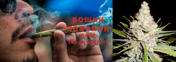ПСИЛОЦИБИНОВЫЕ ГРИБЫ Белоозёрский