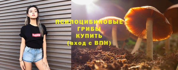 ешки Сясьстрой